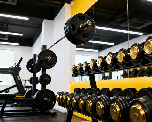 Personal Trainer Hamilton New Zealand | Online Coach | Online Training | RhynoFit
